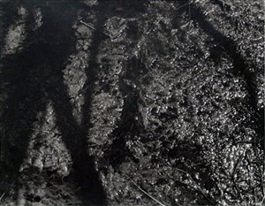 Image description is not available for 2002.014